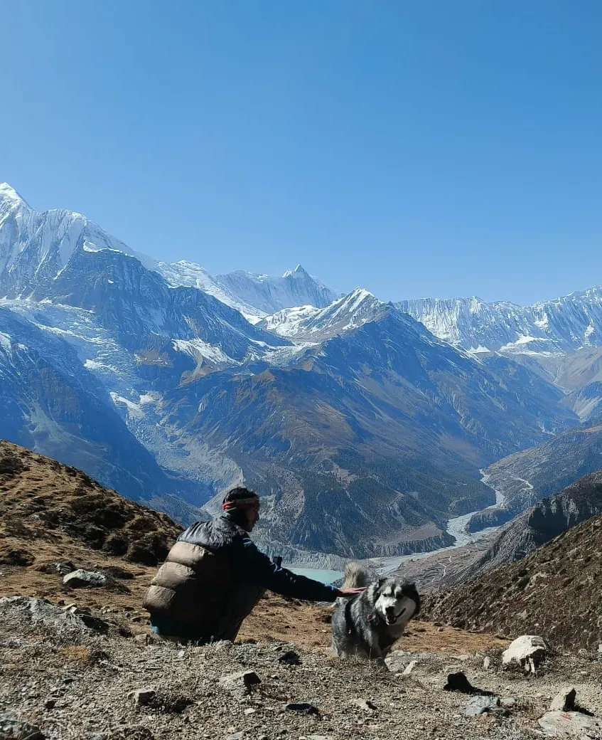 Annapurna Circuit: a husky joined the trail